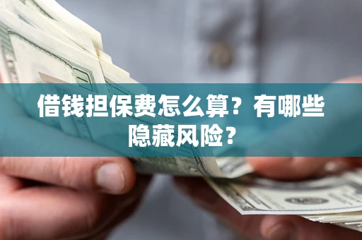 武汉借钱担保费怎么算？有哪些隐藏风险？