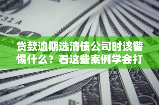 武汉贷款逾期选清债公司时该警惕什么？看这些案例学会打翻身仗