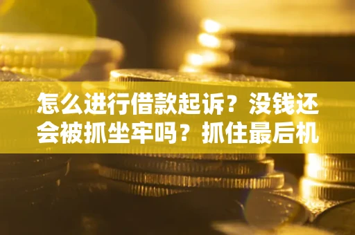 武汉怎么进行借款起诉？没钱还会被抓坐牢吗？抓住最后机会！