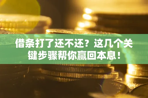 武汉借条打了还不还？这几个关键步骤帮你赢回本息！