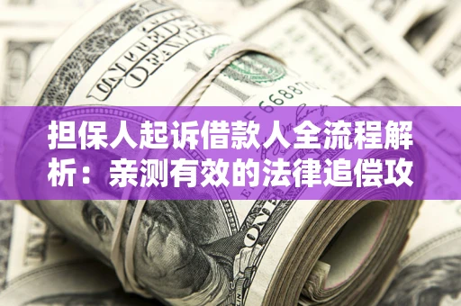 武汉担保人起诉借款人全流程解析：亲测有效的法律追偿攻略