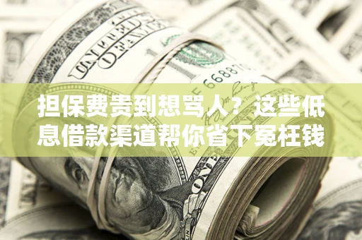 武汉担保费贵到想骂人？这些低息借款渠道帮你省下冤枉钱