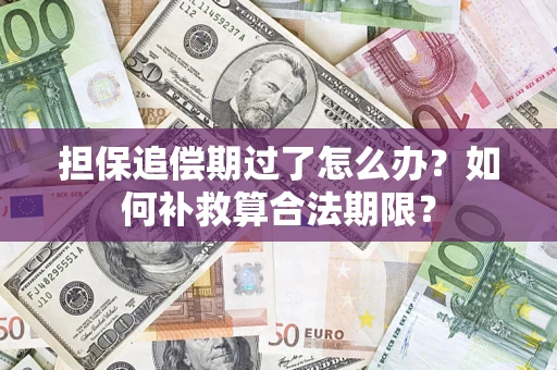 武汉担保追偿期过了怎么办？如何补救算合法期限？