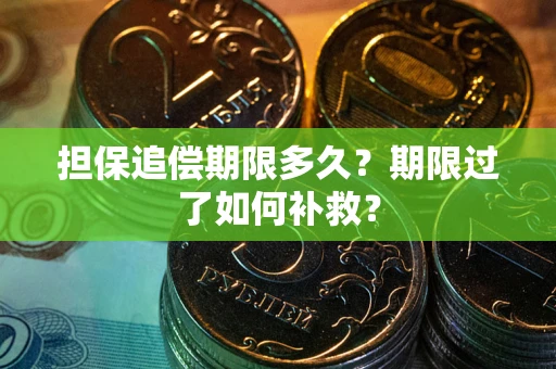 武汉担保追偿期限多久？期限过了如何补救？