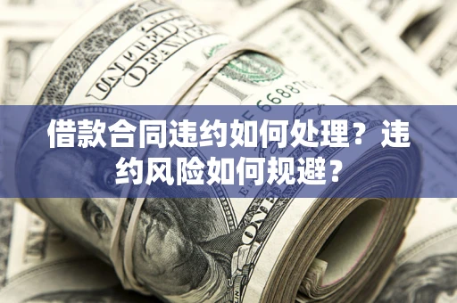 武汉借款合同违约如何处理？违约风险如何规避？