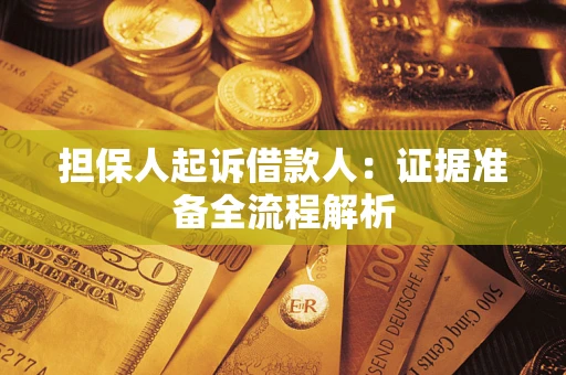 武汉担保人起诉借款人：证据准备全流程解析