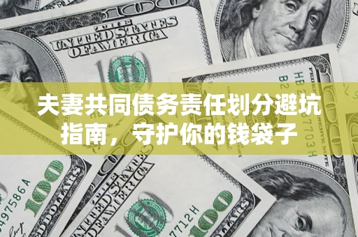 武汉夫妻共同债务责任划分避坑指南，守护你的钱袋子