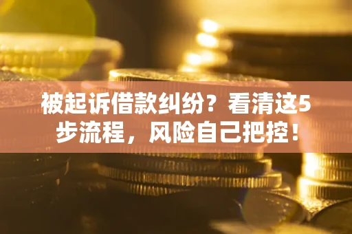 武汉被起诉借款纠纷？看清这5步流程，风险自己把控！