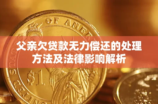武汉父亲欠贷款无力偿还的处理方法及法律影响解析
