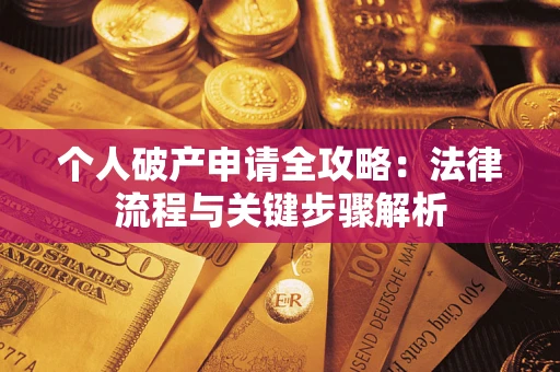 武汉个人破产申请全攻略：法律流程与关键步骤解析