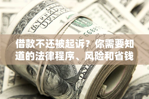 武汉借款不还被起诉？你需要知道的法律程序、风险和省钱技巧