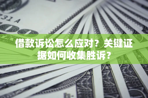 武汉借款诉讼怎么应对？关键证据如何收集胜诉？