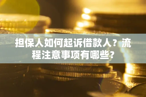 武汉担保人如何起诉借款人？流程注意事项有哪些？